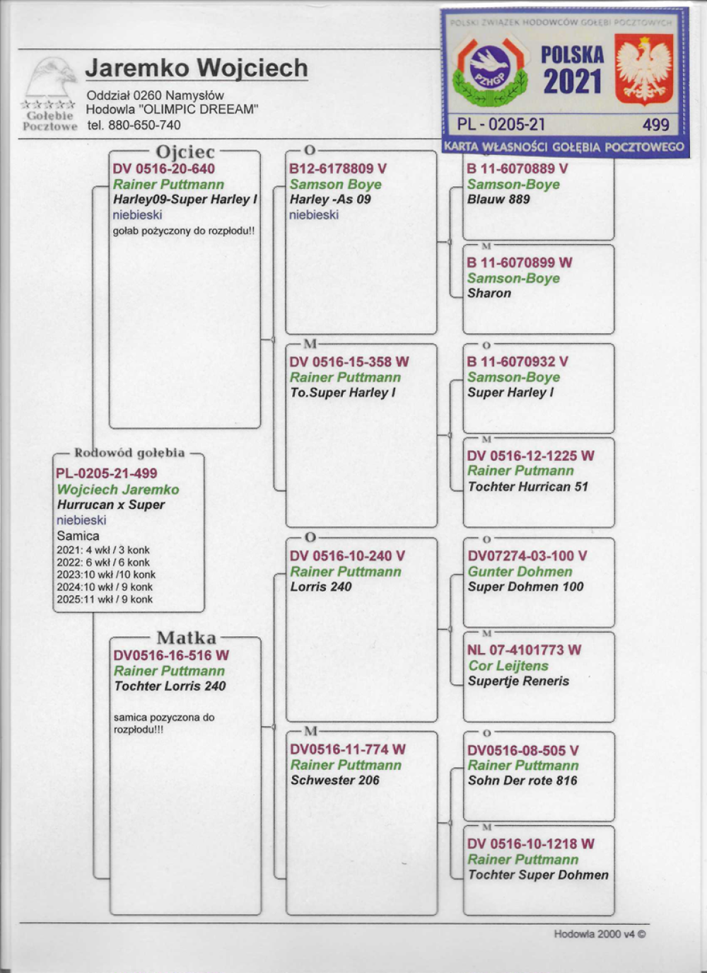 LOTNICZKA "499" - 100% RAINER PUTTMANN | SEZON 2021 (MŁODA) - 3/4 KONK. / SEZON 2022 (ROCZNA) - 6/6 KONK. / SEZON 2023 - 10/10 KONK. / SEZON 2024 - 9/10 KONK. / SEZON 2025 - 9/11 KONK. !! | W SUMIE ZDOBYŁA 37 KONKURSÓW - 40 WKŁADAŃ | WNUCZKA "LORRIS 240" RAINER PUTTMANN / CÓRKA "516" RAINER PUTTMANN - WYHODOWANA W POKREWIEŃSTWIE "SUPER DOHMEN" | CÓRKA ROZPŁODOWCA "640" RAINER PUTTMANN - LINIA "HURRICAN 51" / "SUPER HARLEY I" !!