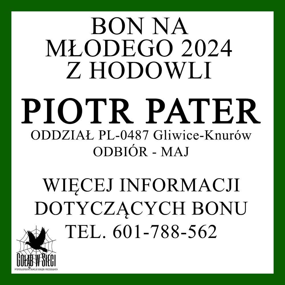 PIOTR PATER BON 2