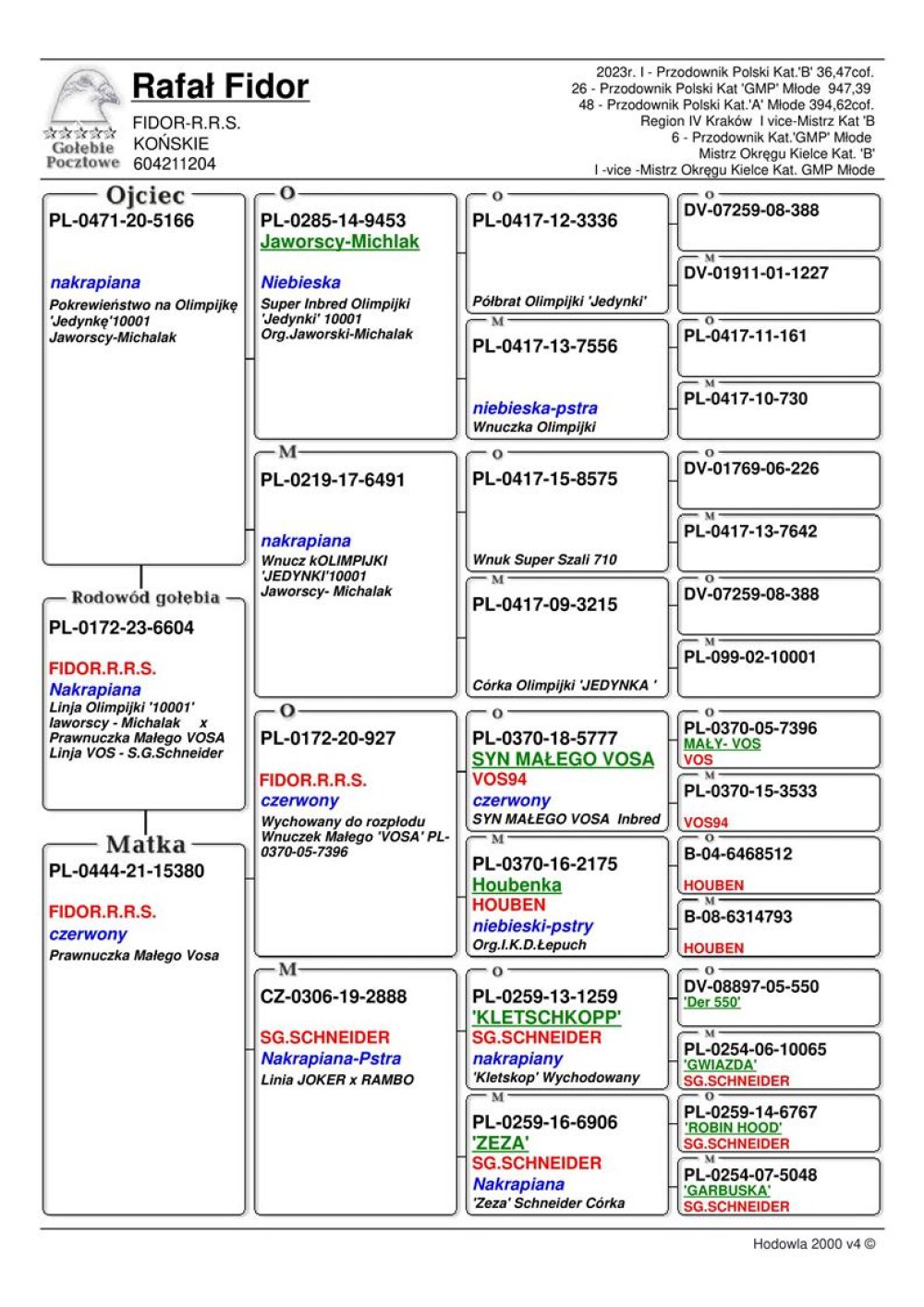 | SYN ROZPŁODOWCA "5166" - GOŁAB WYHODOWANY W POKREWIEŃSTWIE NA OLIMPIJKĘ "JEDYNKA" JAWORSCY - MICHALAK | SYN SAMICY ROZPŁODOWEJ "15380" - 50% ŁEPUCH I. K. D. - LINIA "VOS 94" / 50% SCHNEIDER SG. - LINIA "JOKER" / "RAMBO" |