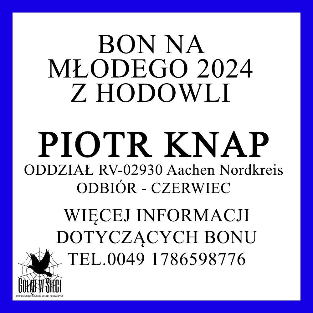 PIOTR KNAP BON 3