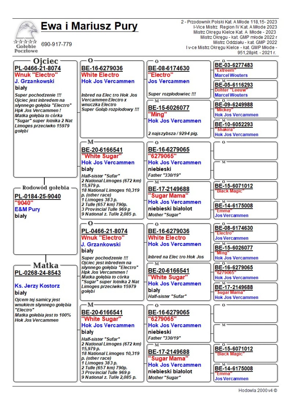 INBRED 'ELECTRO 8074'