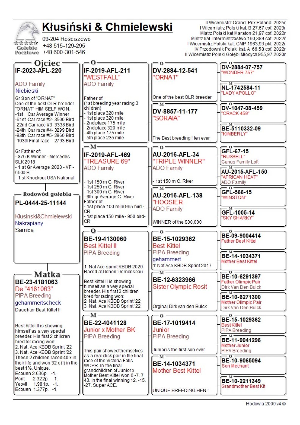 KŁUSIŃSKI & CHMIELEWSKI