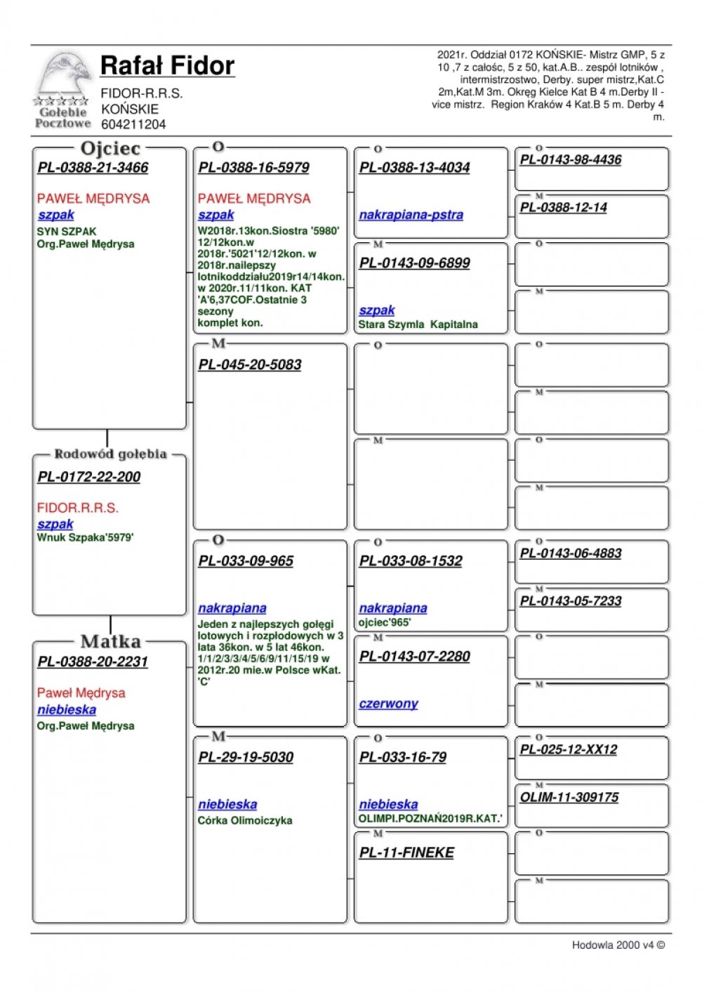 100% PAWEŁ MĘDRYSA | WNUK SUPER LOTNIKA "SZPAK 5979" - 38KONK/3LATA!! | WNUK SUPER LOTNIKA I ROZPŁODOWCA "965" - M.IN.: 1, 1, 2, 3, 3, 4, 5, 6, 9, 11.. |