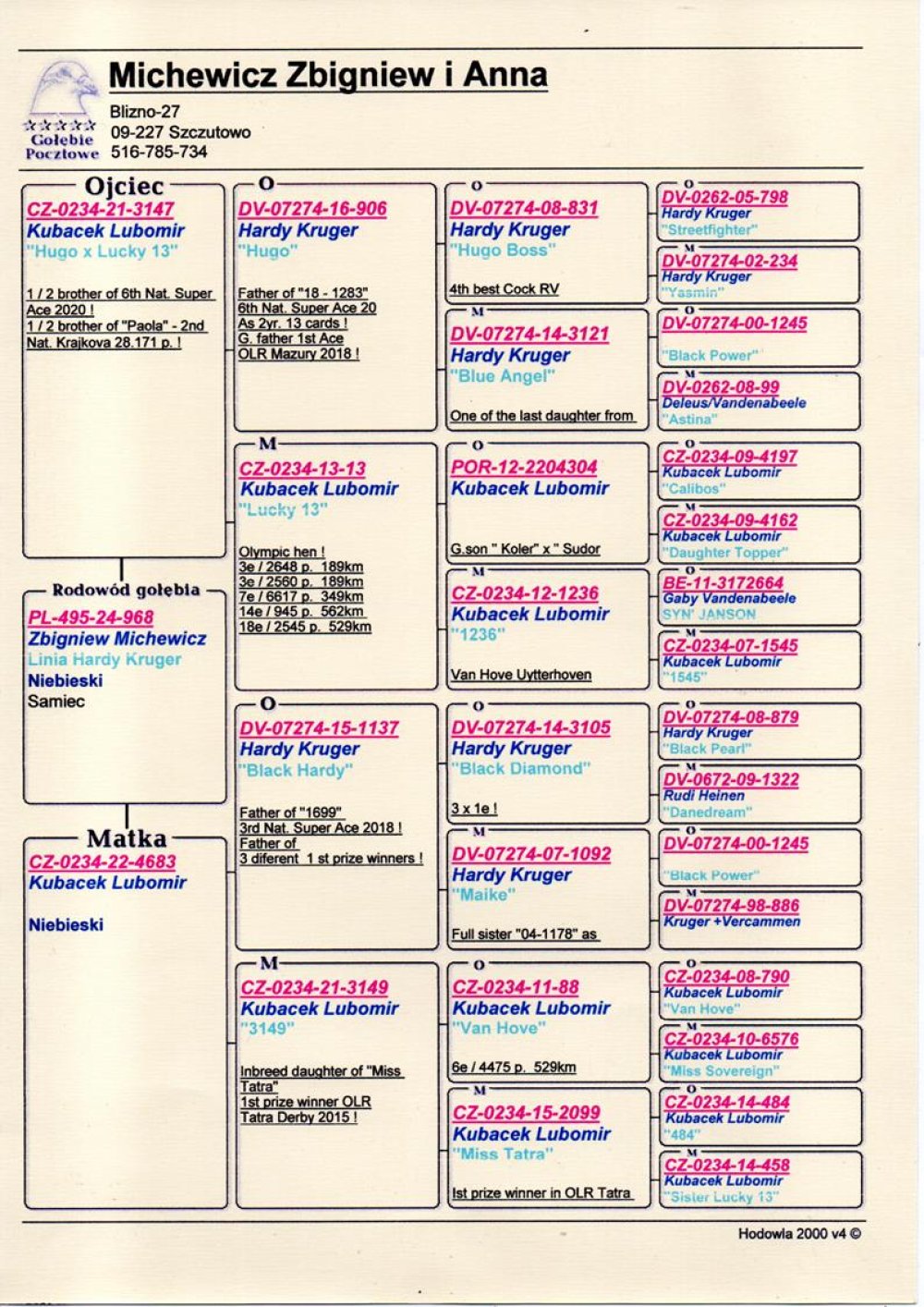 | 100% LUBOMIR KUBACEK / SYN ROZPŁODOWCA "3147" ORG. LUBOMIR KUBACEK - SYN OLIMPIJKI "LUCKY 13" ORAZ WNUK "HUGO BOSS" HARDY KRUGER !! | SYN SAMICY ROZPŁODOWEJ "4683" ORG. LUBOMIR KUBACEK - JEST ON WNUKIEM SUPER LOTNIKA "BLACK DIAMOND" HARDY KRUGER ORAZ "MISS TATRA" - 1 KONKURS NA WG TATRA | WNUK SUPER ROZPŁODOWCA "BLACK HARDY" ORG. HARDY KRUGER - JEST ON OJCEM M.IN.: "1699" - 3RD NAT. SUPER ACE 2018 |