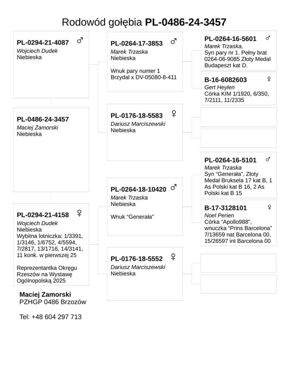 DARCZYŃCA: MONIKA & MACIEJ ZAMORSKI