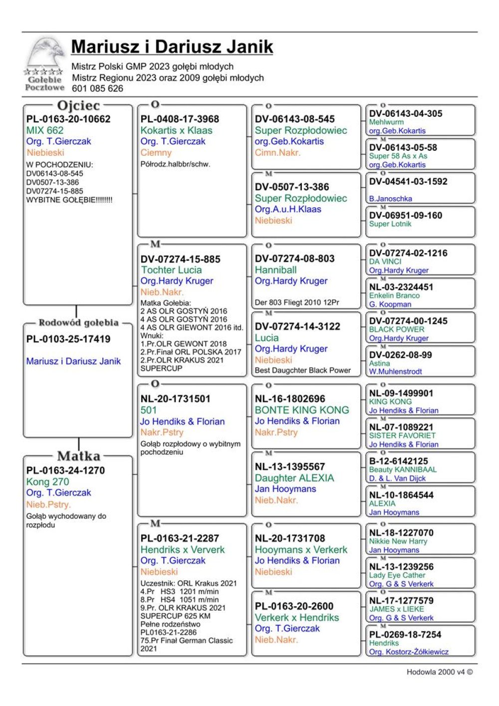 WNUCZKA KRUGERKA 885