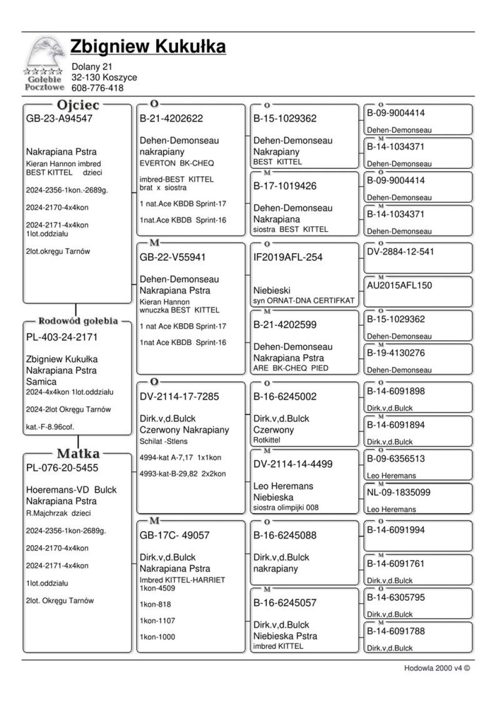 ZBIGNIEW KUKUŁKA | NAJLEPSZA MŁODA LOTNICZKA ODDZIAŁU NOWE BRZESKO 2024R - 4/4KONK. / DRUGA LOTNICZKA OKRĘGU TARNÓW KAT. SPORT F / REPREZENTANTKA OKRĘGU NA WYSTAWĘ OGÓLNOPOLSKĄ KATOWICE 2025 !! | CÓRKA ROZPŁODOWCA "547" - WYWODZI SIĘ Z ŁĄCZENIA SYNA "BEST KITTEL" X WNUCZKA SŁYNNEGO "ORNAT" !! | CÓRKA SAMICY ROZPŁODOWEJ "5455" (DIRK VAN DEN BULCK X LEO HEREMANS) - LINIA SŁYNNEGO "KITTEL" / "OLYMPIADE 008" - OLIMPIJKA Z BUDAPESZTU W KAT. SPORT G |