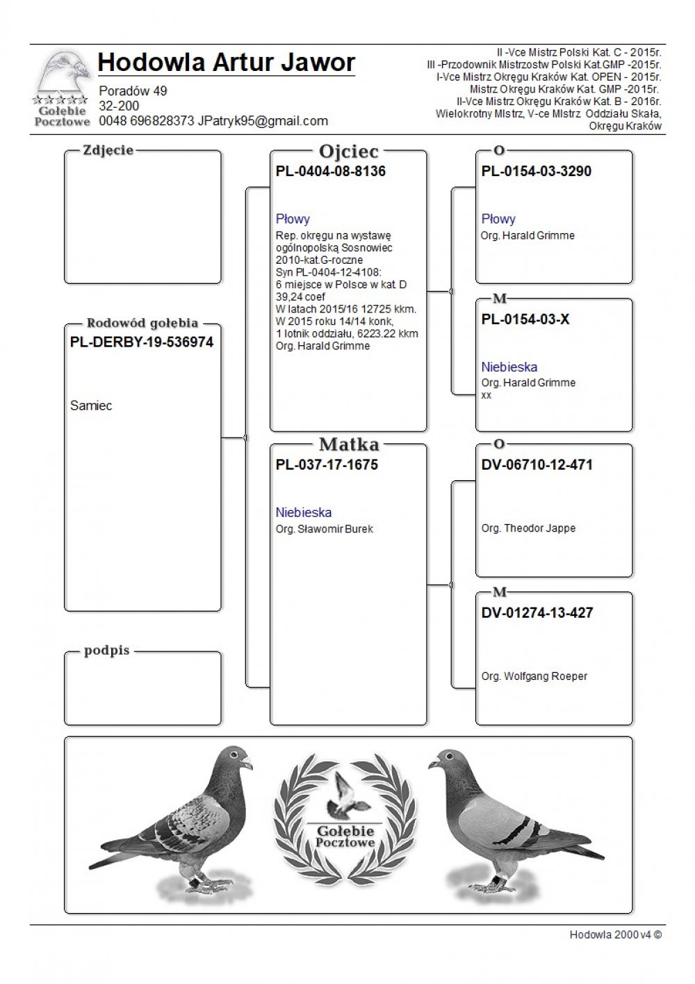 | 50% HARALD GRIMME / 50% SŁAWOMIR BUREK | SYN OJCA GOŁĘBNIKA "PŁOWY 8136" ORG. HARALD GRIMME - OJCIEC/DZIADEK WIELU CZOŁOWYCH LOTNIKÓW! |