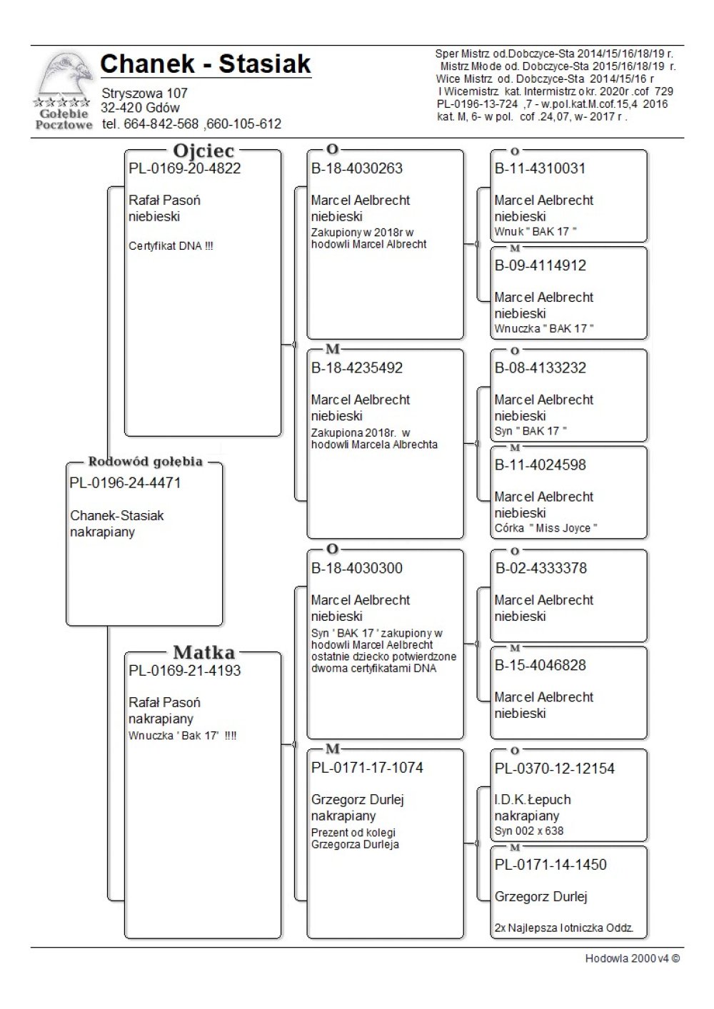 | INBRED SŁYNNEGO "BAK 17" MARCEL AELBRECHT | CÓRKA SUPER ROZPŁODOWCA "4822" ORG. RAFAŁ PASOŃ (CERTYFIKAT DNA) - INBRED "BAK 17" - WYHODOWANY Z PAROWANIA "263" - PODWÓJNY WNUK BAK 17 X "492" - WNUCZKA BAK 17 !! | WNUCZKA SUPER ROZPŁODOWCA "4030300" RAFAŁ PASOŃ (ORG. MARCEL AELBRECHT) - SYN "BAK 17" !! | WNUCZKA REWELACYJNEJ SAMICY ROZPŁODOWEJ "1074" ORG. GRZEGORZ DURLEJ (CÓRKA KOOPMANA 12154) - SAMICA TA WYDAŁA M.IN.: SUPER LOTNICZKĘ RAFAŁA PASONIA "3600" - 2AS POLSKI KAT. SPORT D |