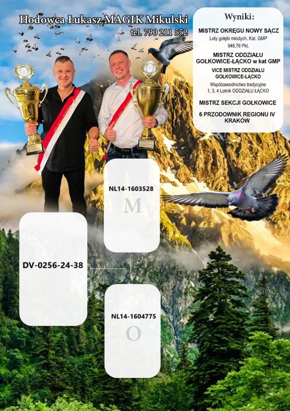 | MŁODY LOTOWANY SAMIEC - ZDOBYŁ 2KONK. / 100% HANS & EVERT JAN EIJERKAMP (VAN LOON) / WYHODOWANY Z ŁĄCZENIA "1604775 X 1603528" - RODOWODY RODZICÓW DOŁĄCZONE DO AUKCJI |