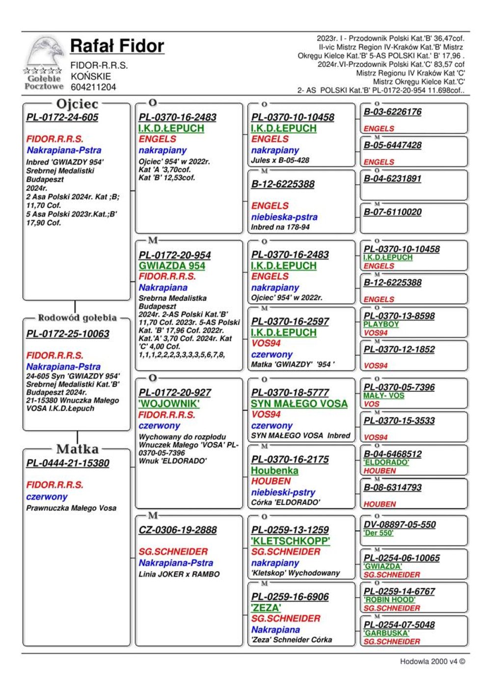 WNUCZKA 'GWIAZDA 954'