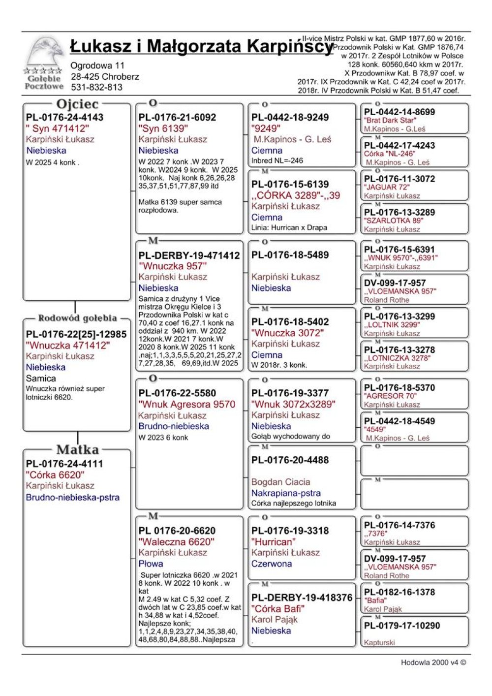 WNUCZKA 'DWÓCH ASIC'
