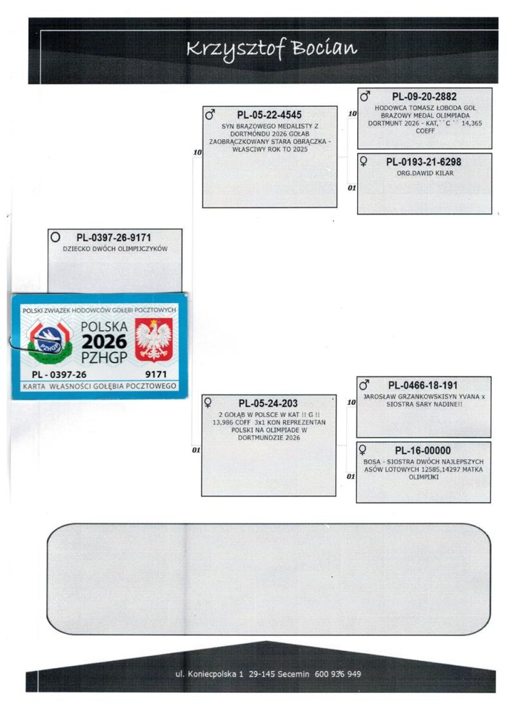 DZIECKO 'OLIMP 203'