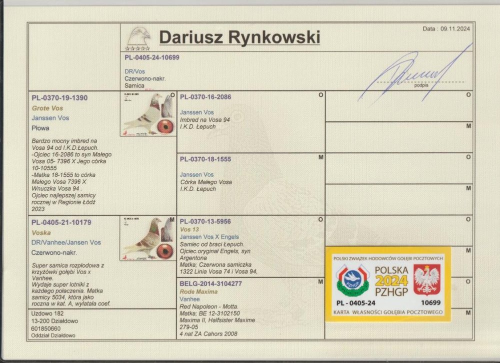 ORG. DARIUSZ RYNKOWSKI