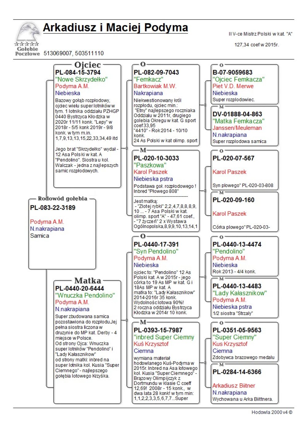 | CÓRKA PODSTAWOWEGO SAMCA ROZPŁODOWEGO "NOWE SKRZYDEŁKO" - JEST ON OJCEM M.IN.: 1ASA ODDZIAŁU 2020R - 11/11KONK. | WNUCZKA SUPER ROZPŁODOWCA "FEMKACZ" | WNUCZKA "7987" - INBRED "SUPER CIEMNY" ORG. KRZYSZTOF KUŚ |
