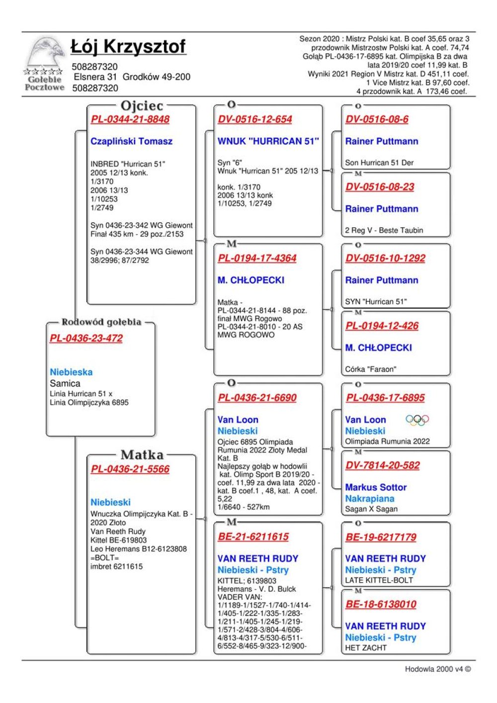 | CÓRKA SAMCA ROZPŁODOWEGO "8848" ORG. TOMASZ CZAPLIŃSKI - INBRED "HURRICAN 51" RAINER PUTTMANN - JEGO SYN "342" W SEZONIE 2023 UCZESTNIK WG GIEWONT - 29POZ Z FINAŁU 425KM! | CÓRKA SAMICY ROZPŁODOWEJ "5566" - JEST ONA WNUCZKĄ OLIMPIJCZYKA "6895" - ZŁOTY MEDAL OLIMPIADA RUMUNIA 2022 - KAT. B - 11,98COEFF. |