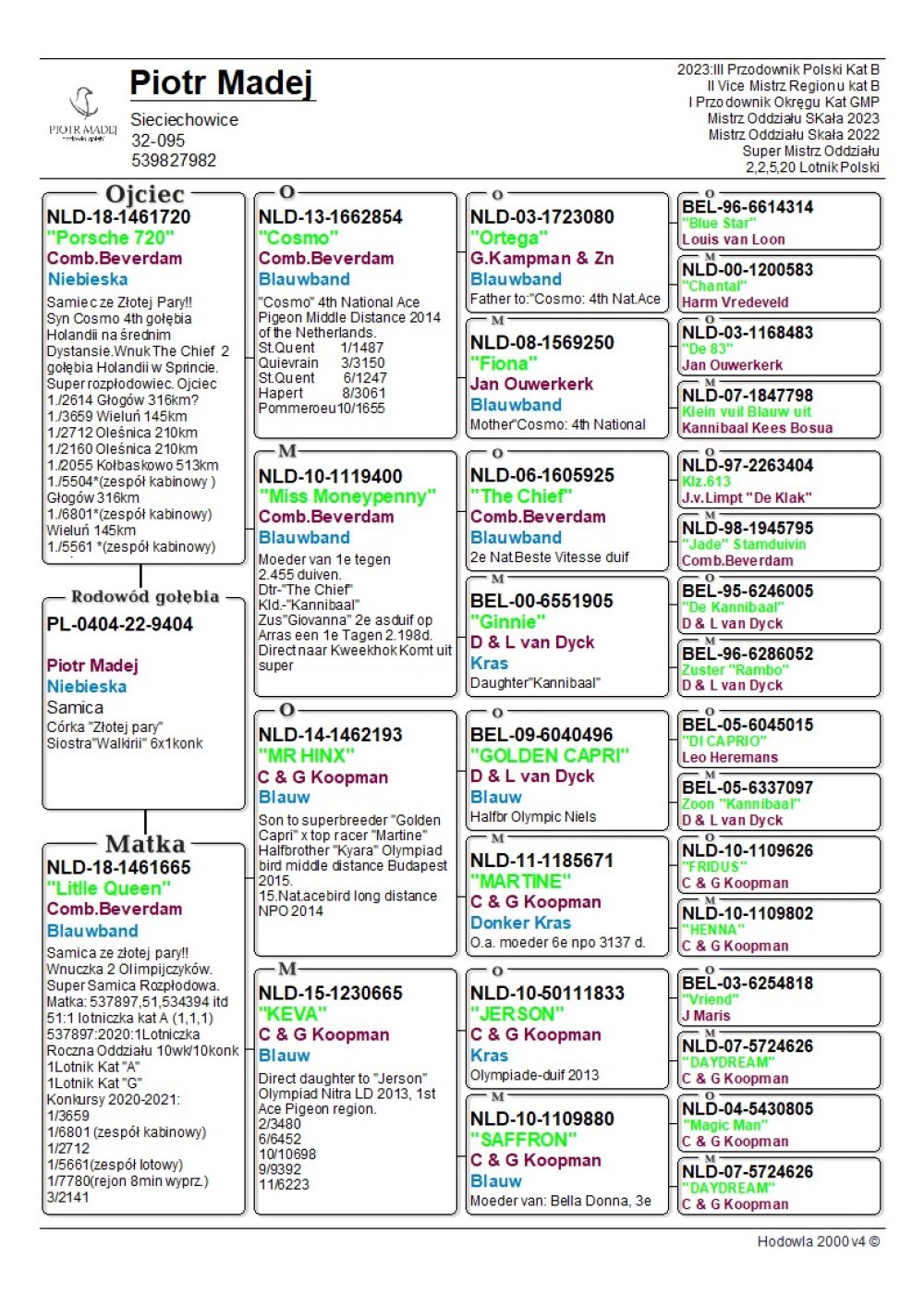 | PIOTR MADEJ | PEŁNA SIOSTRA GWIAZDY LOTOWEJ GOŁĘBNIKA "WALIKIRIA" - 6X 1KONKURS! / KAT. OLIMPIJSKA SPORT D - 30,90COEFF. / 3AS OKRĘGU KRAKÓW / NAJLEPSZA LOTNICZKA ODDZIAŁU 2023! KAT. A - 2,51COEFF. / KAT. B - 4,17COEFF. / 2 LOTNICZKA POLSKI KAT. ALLROUND W KONKURSIE REDAKCJI! | CÓRKA ZŁOTEJ PARY HODOWLI - ICH DWIE CÓRKI SĄ W DRUŻYNIE 3 PRZODOWNIKA POLSKI KAT. B 2023! |