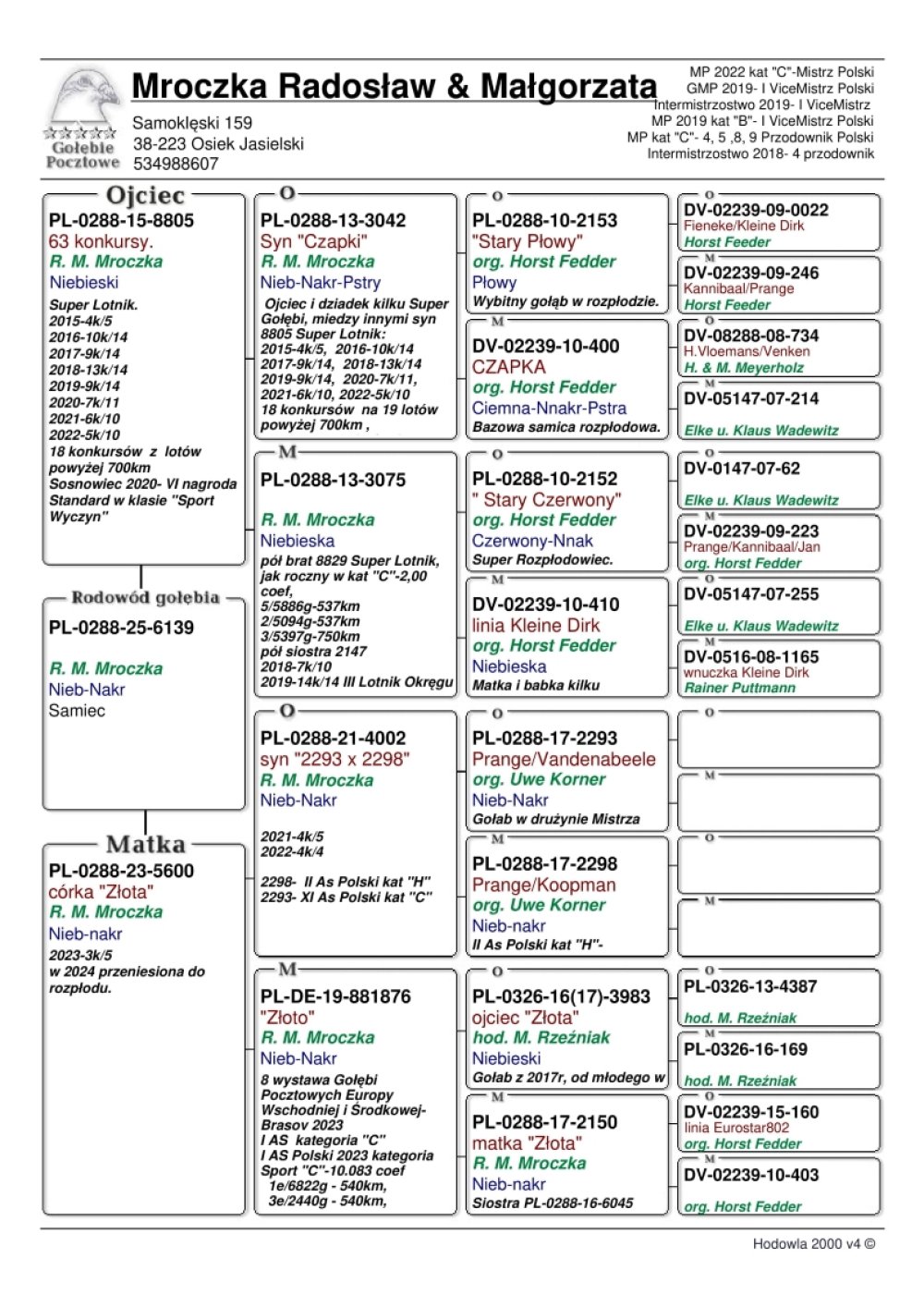 8805 X CÓRKA ZŁOTEJ