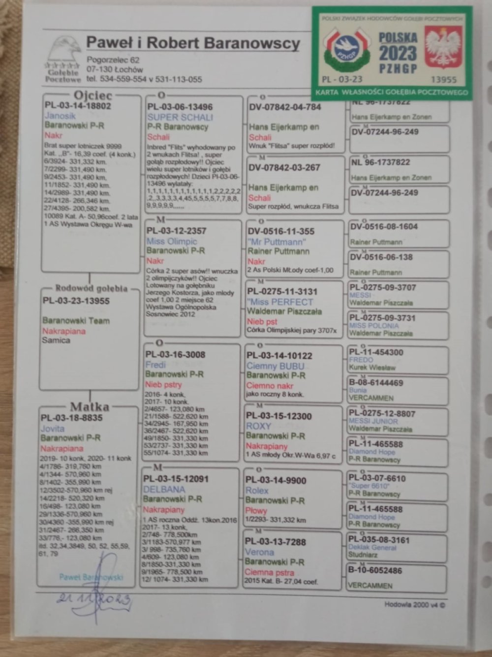 DARCZYŃCA BONU: IWAŃSKI & KUCHARSKI / PZHGP 0173 KOZIENICE - ORG. PAWEŁ & ROBERT BARANOWSCY / TEL: 664-800-584