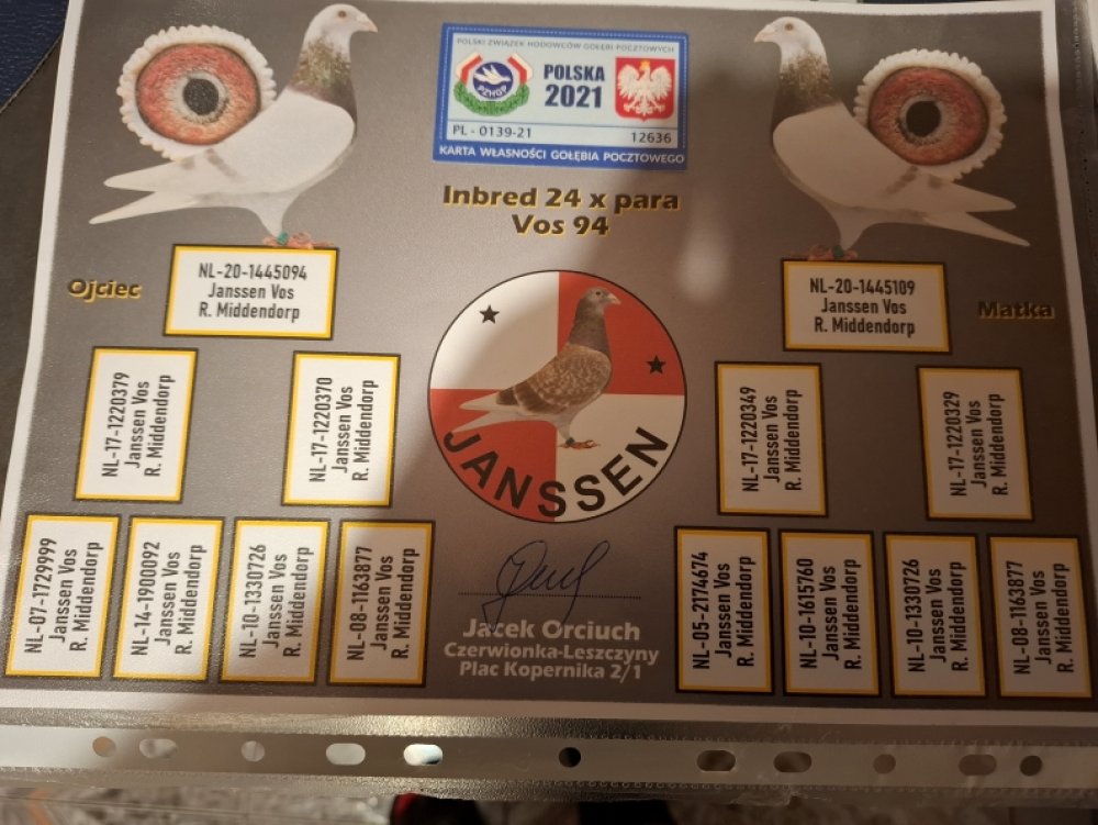 ADRIAN OSZCZEPALSKI - 086 BOLKÓW