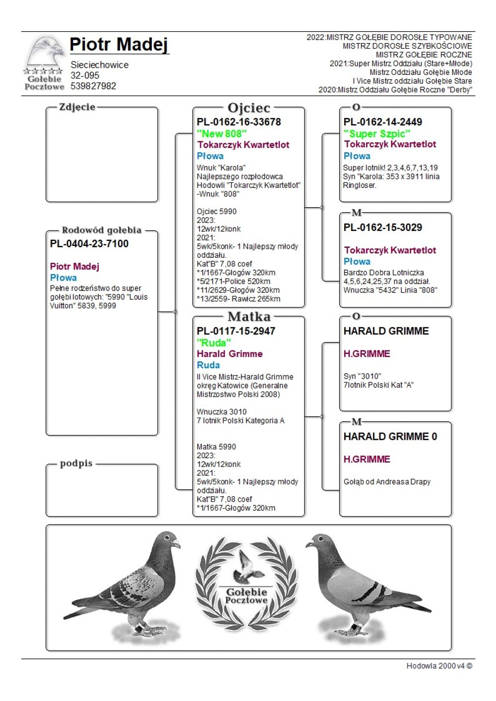 | PEŁNE RODZEŃSTWO SUPER LOTNIKA "LOUIS VUITTON 5990" - W 2021R - 5/5KONK. 1 MŁODY LOTNIK ODDZIAŁU! W 2023R - 12/12KONK! W DRUŻYNIE MISTRZOWSKIEJ KAT. B - 7,08COEFF. | DZIECKO SUPER SAMICY ROZPŁODOWEJ "RUDA" ORG. HARALD GRIMME - JEST ONA WNUCZKĄ "3010" !!