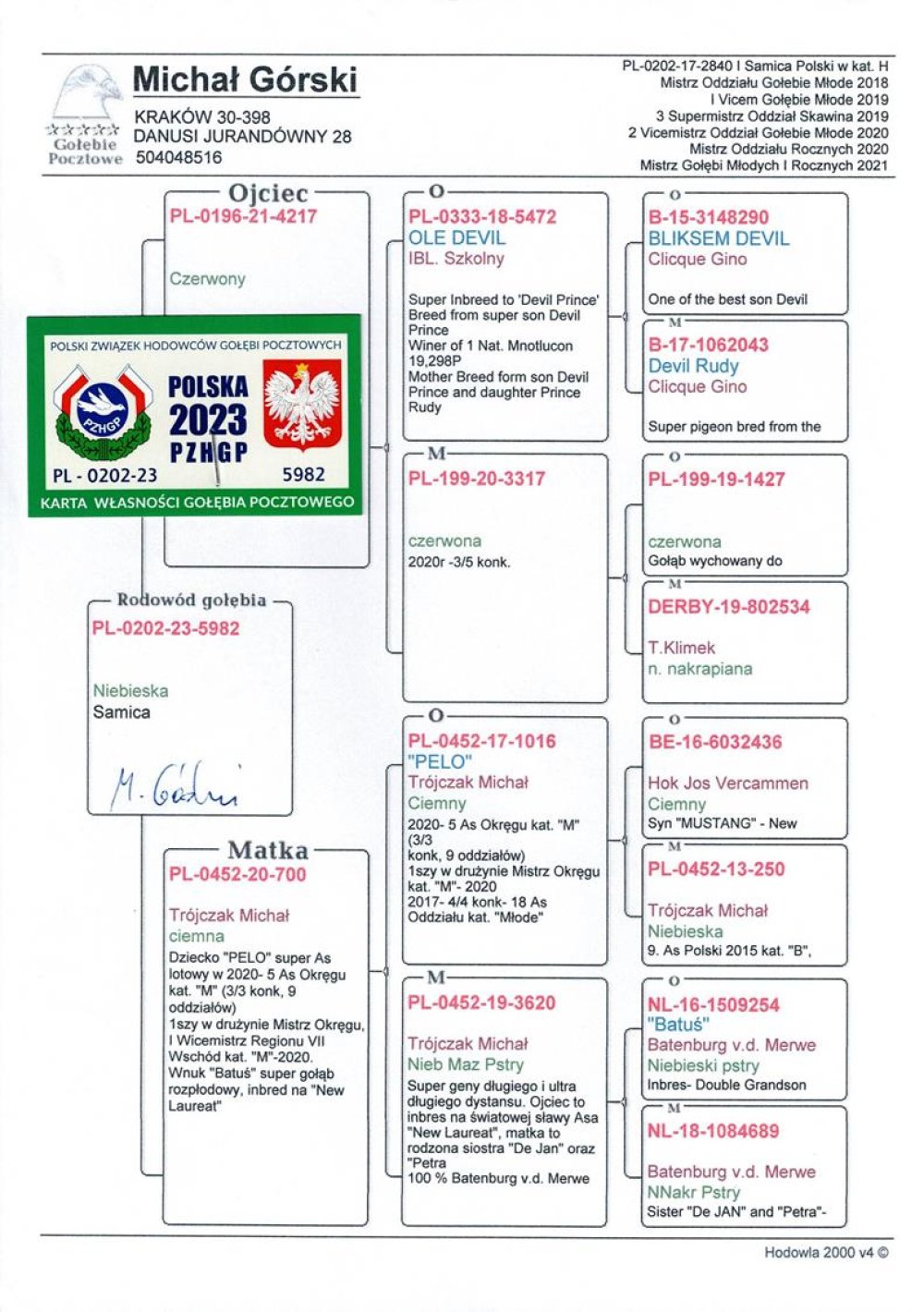 | DZIECKO SAMICY ROZPŁODOWEJ "700" ORG. MICHAŁ TRÓJCZAK - WNUCZKA ROZPŁODOWCA "BATUŚ" - INBRED "NEW LAUREAT" | WNUK BARDZO DOBREGO LOTNIKA "PELO" ORG. MICHAŁ TRÓJCZAK - 2020R - 5AS OKRĘGU KAT. M - NAJLEPSZY GOŁĄB W DRUŻYNIE MISTRZA OKRĘGU W KAT. M 2020R |