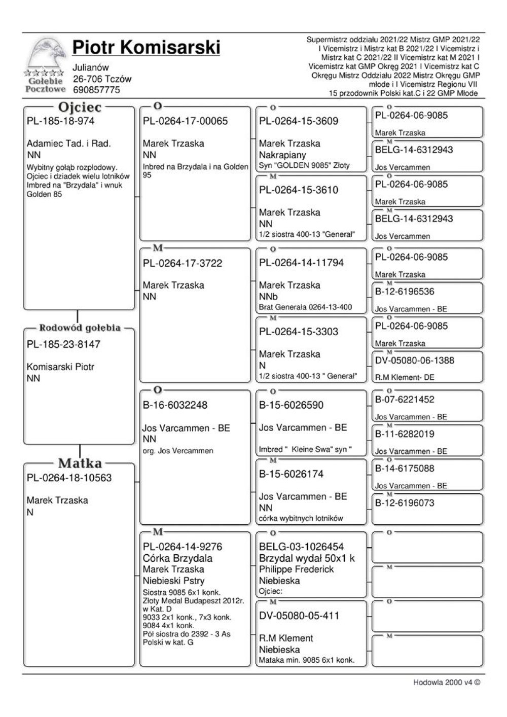 | SYN NAJLEPSZEGO ROZPŁODOWEGO GOŁĘBIA HODOWLI "974" ORG. ADAMIEC T. & R. - INBRED "BRZYDALA" X WNUCZKA "GOLDEN 9085" | SYN SAMICY ROZPŁODOWEJ "10563" ORG. MAREK TRZASKA - WNUCZKA "BRZYDALA" / JEJ MATKĄ JEST SIOSTRA "GOLDEN 9085" ! |