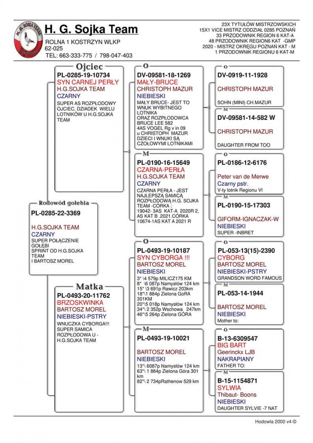 | 50% H. & G. SOJKA / 50% MOREL TEAM | WNUK NAJLEPSZEJ SAMICY ROZPŁODOWEJ HODOWLI "CZARNA PERŁA" | WNUK "10187" ORG. MOREL TEAM - SYN "CYBORGA" |