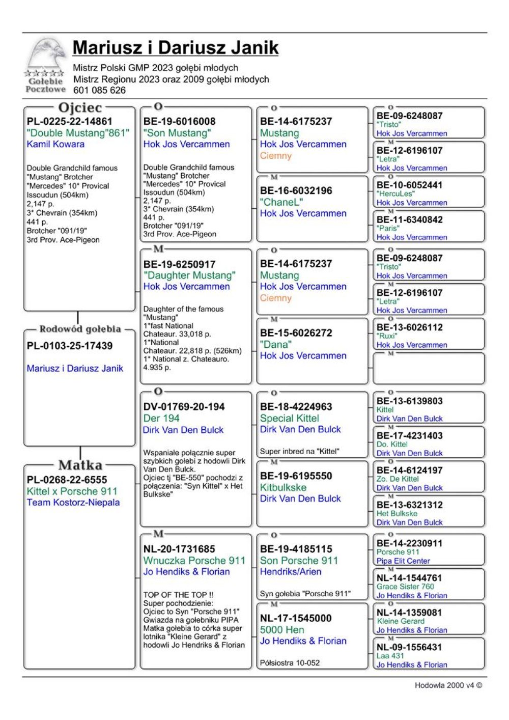 MUSTANG X PORSCHE 911