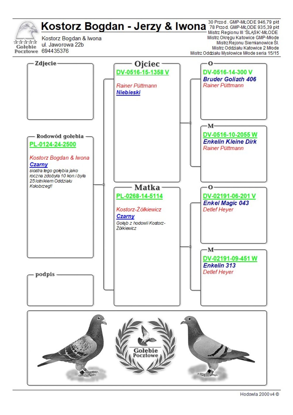 | DZIECKO ROZPŁODOWCA "1358" ORG. RAINER PUTTMANN - LINIA "KLEINE DIRK" / "GOLIATH 406" | DZIECKO SAMICY ROZPŁODOWEJ "5114" ORG. KOSTORZ & ŻÓŁKIEWICZ - 100% DETLEF HEYER | SIOSTRA TEGO GOŁĘBIA JAKO ROCZNA ZDOBYŁA 10KONK. |
