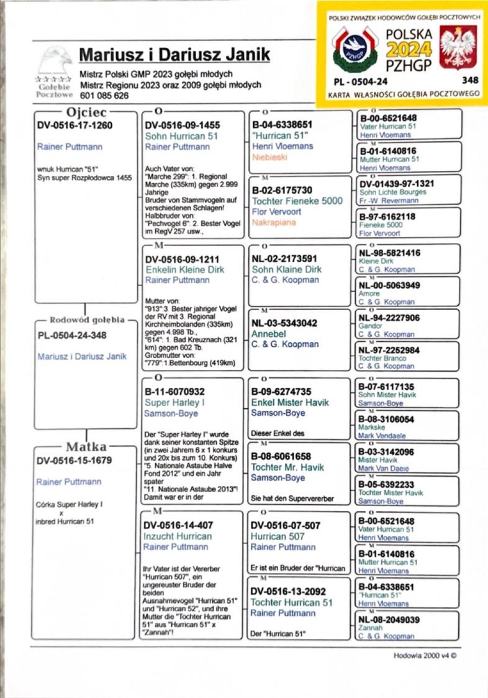 | MŁODA LOTNICZKA "348" - ZDOBYŁA 4KONK. / 100% RAINER PUTTMANN | CÓRKA SAMCA ROZPŁODOWEGO "1260" ORG. RAINER PUTTMANN - WNUK SŁYNNEGO "HURRICAN 51" / PRAWNUK "KLEINE DIRK" C. & G. KOOPMAN !! | CÓRKA SAMICY ROZPŁODOWEJ "1679" ORG. RAINER PUTTMANN - JEST ONA CÓRKĄ "SUPER HARLEY I" A OD STRONY MATKI WYWODZI SIĘ Z LINII "HURRICAN 51" !! |