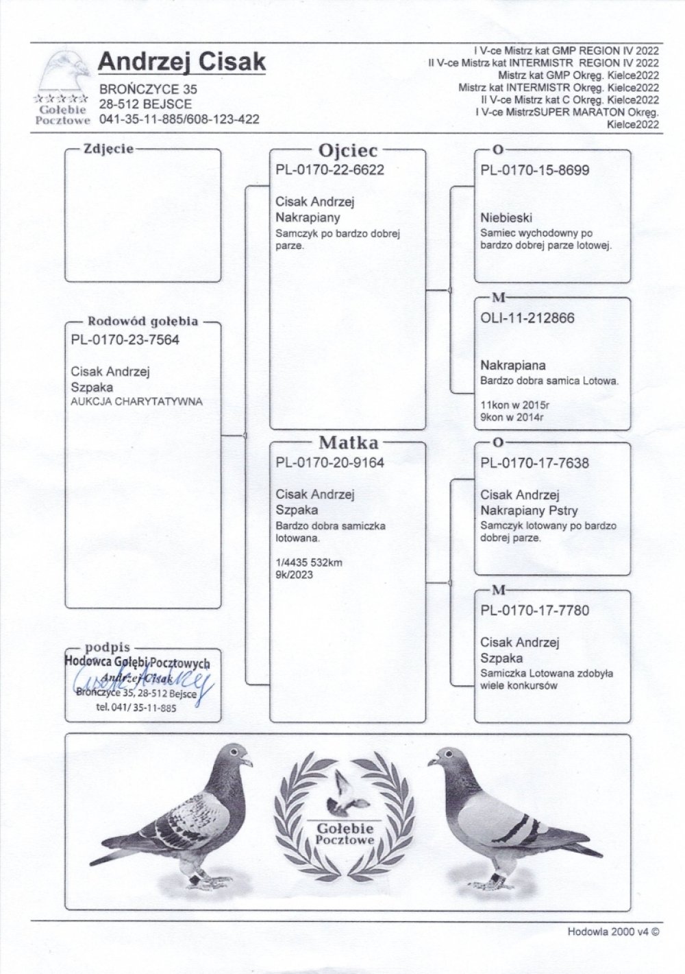 | ORG. ANDRZEJ & DAWID CISAK - 0170 KAZIMIERZA WIELKA | SYN BARDZO DOBREJ LOTNICZKI "9164" - M.IN.: 1/4435SZT - 532KM. W 2023R - 9KONK. | WNUK SUPER LOTNICZKI "212866" - 2015R - 11KONK. / 2014R - 9KONK. |