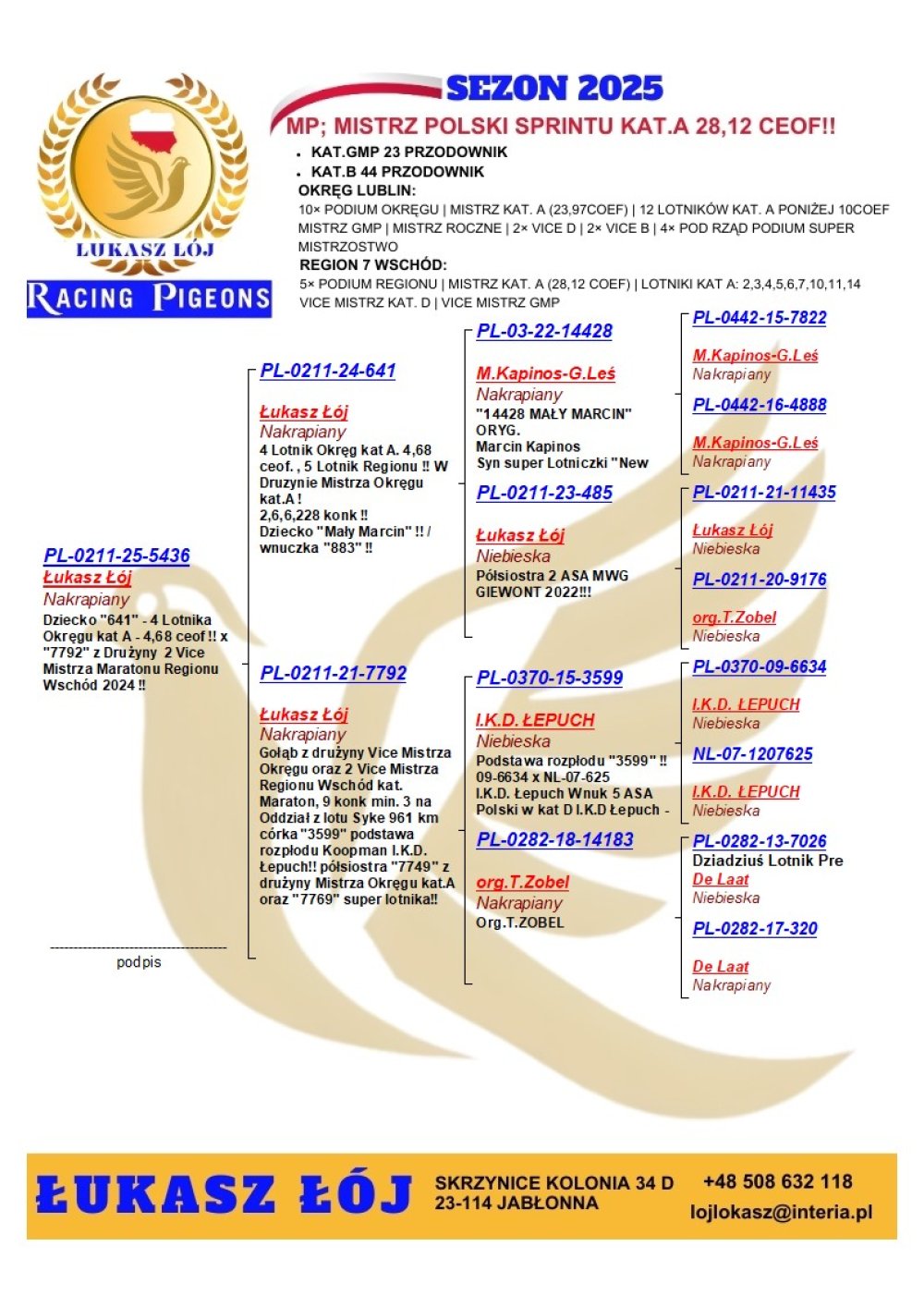 DZIECKO 4 ASA OKRĘGU