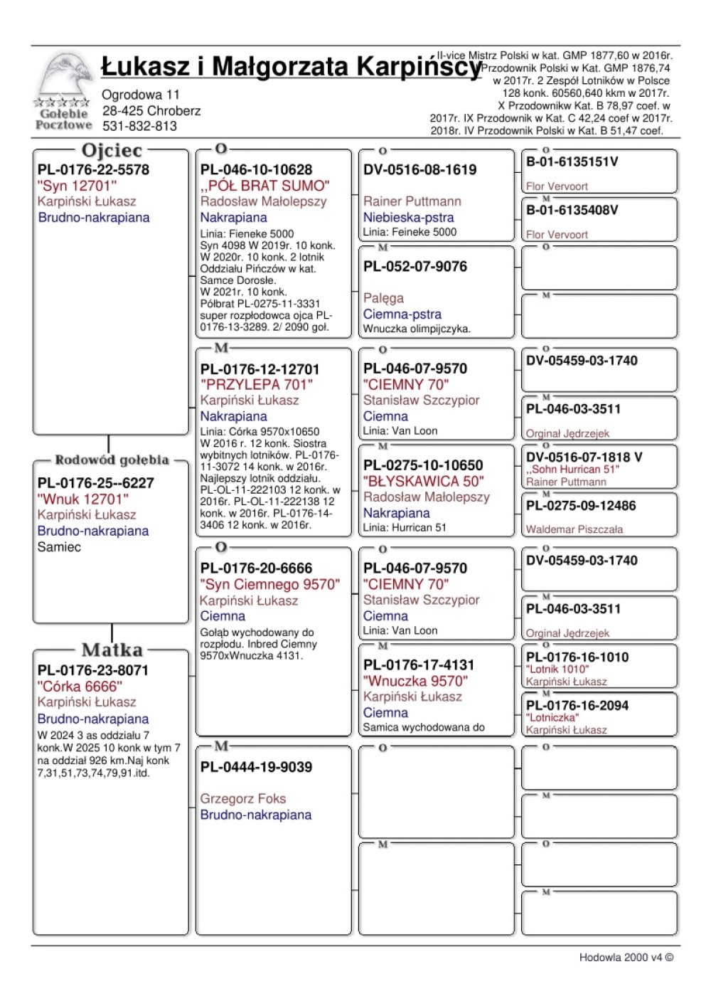 INBRED 'CIEMNY 9570'