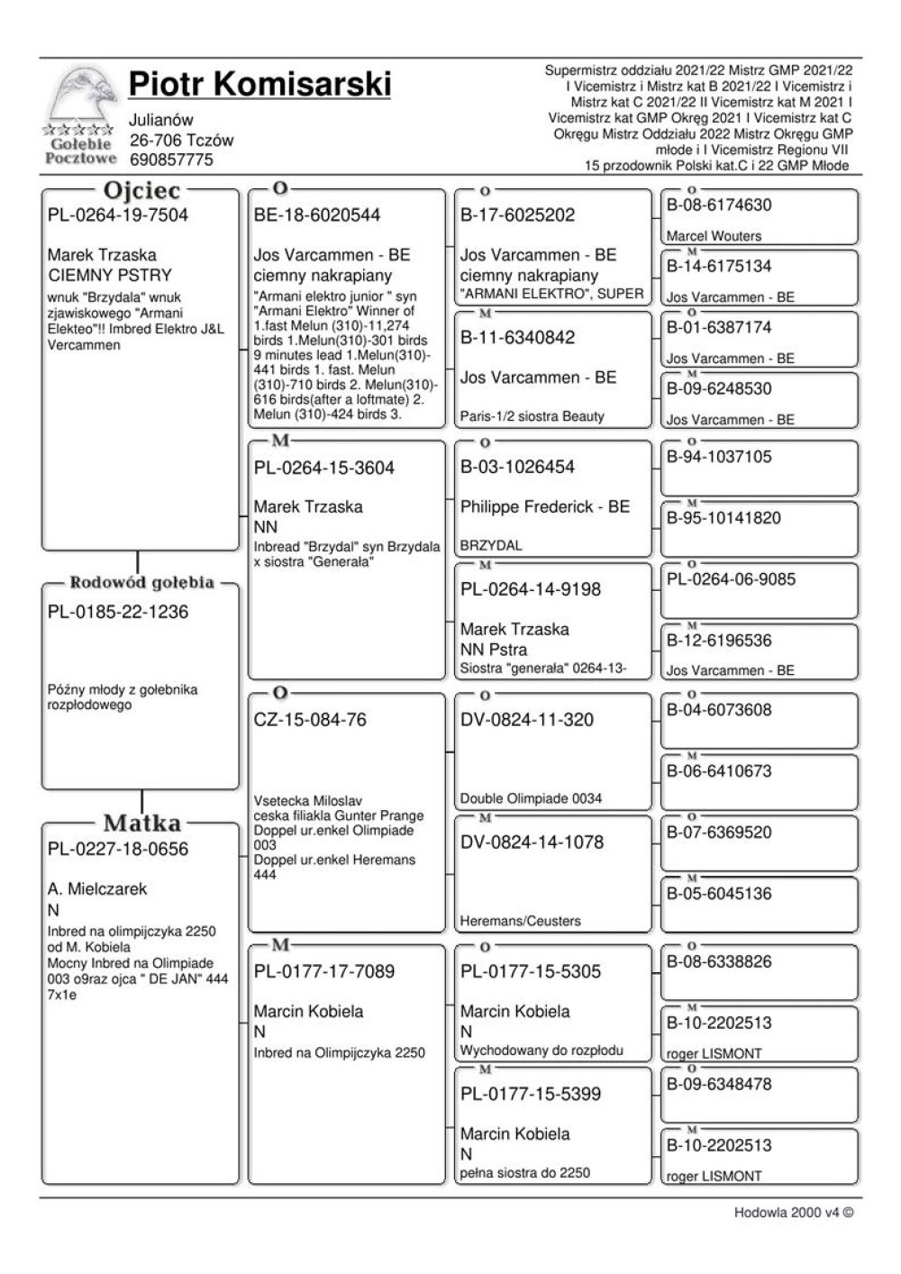 | DZIECKO BARDZO DOBREGO ROZPŁODOWCA "7504" ORG. MAREK TRZASKA - WNUK "BRZYDAL" I "ARMANI ELEKTRO" | DZIECKO SAMICY ROZPŁODOWEJ "656" - LINIA "OLYMPIADE 003" X OLIMPIJCZYKA "2250" MARCINA KOBIELI |