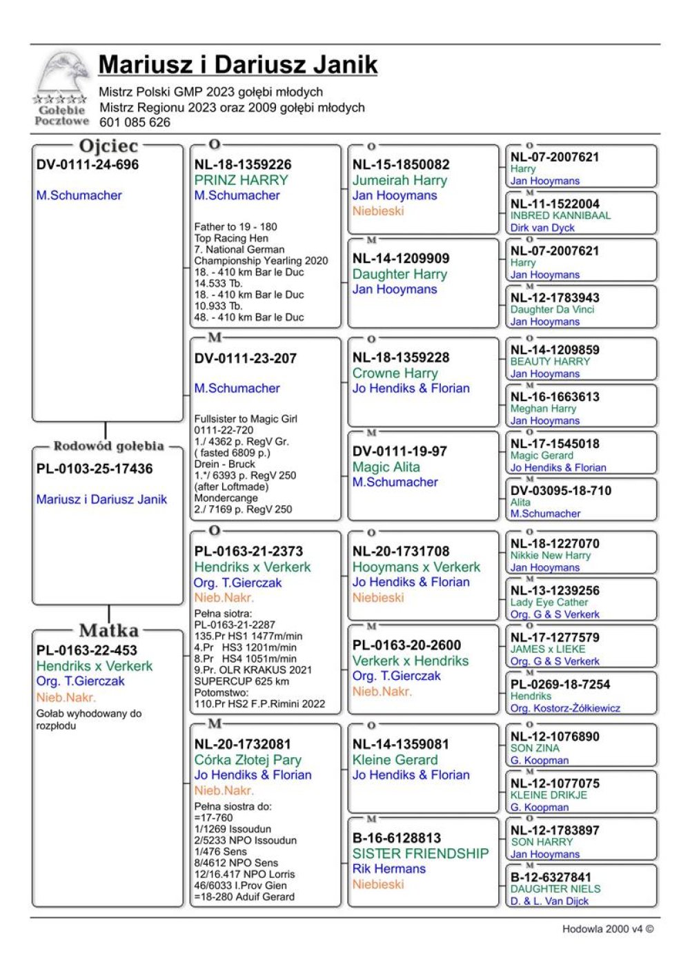 WNUCZKA 'PRINZ HARRY'