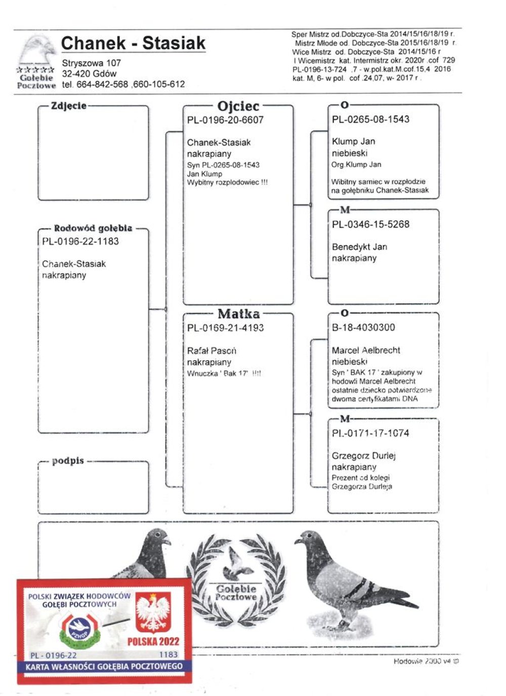 | WNUCZKA BAZOWEGO SAMCA ROZPŁODOWEGO HODOWLI "08-1543" ORG. JAN KLUMP | CÓRKA "4193" ORG. RAFAŁ PASOŃ - JEST ONA WNUCZKĄ "BAK 17" MARCEL AELBRECHT ORAZ CÓRKĄ SUPER SAMICY ROZPŁODOWEJ "1074" GRZEGORZ DURLEJ - KTÓRA JEST MATKĄ "3600" - 2AS POLSKI KAT. D |