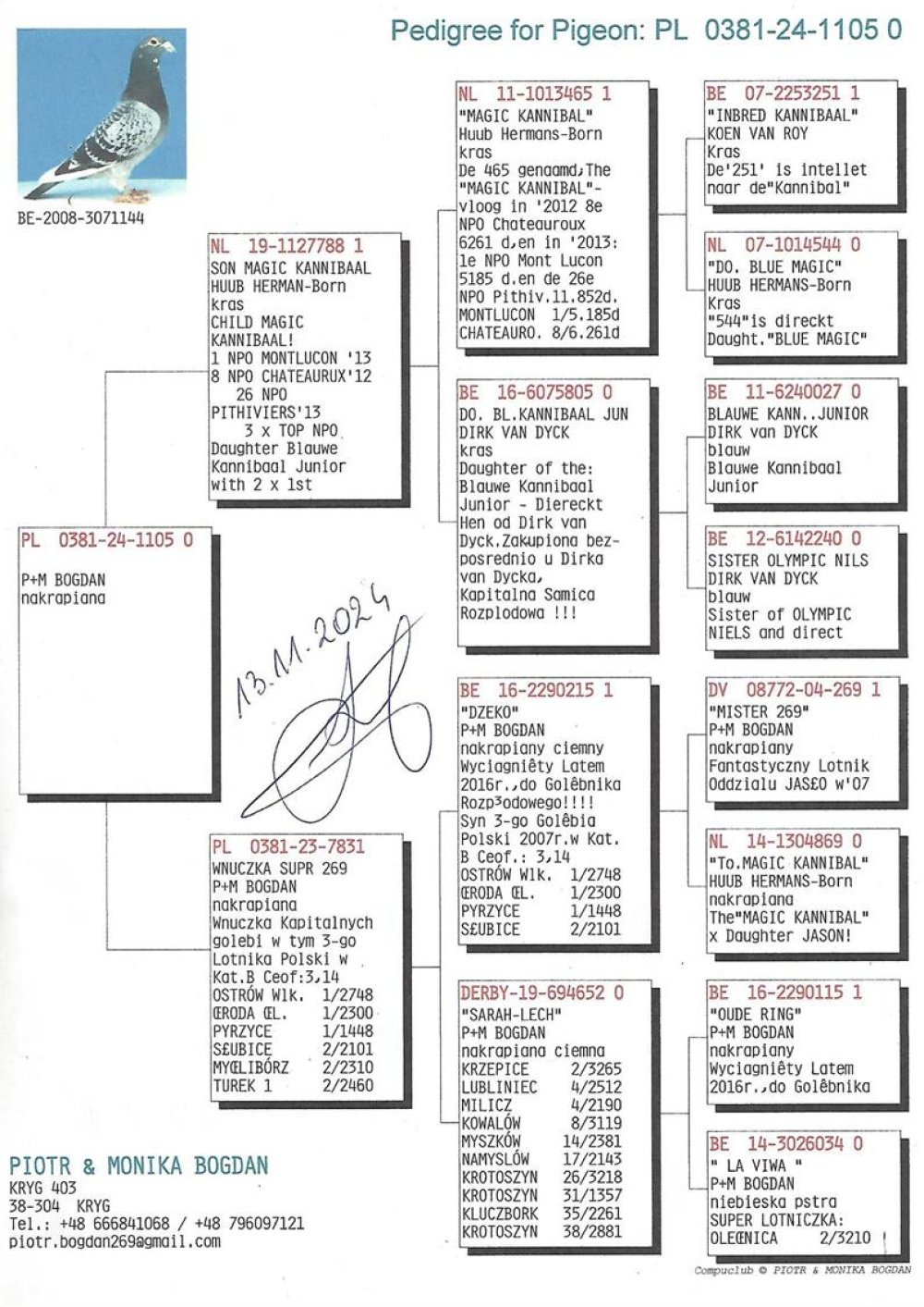 | CÓRKA NAJLEPSZEGO ROZPŁODOWCA HODOWLI "788" ORG. HUUB HERMASN - SYN "MAGIC KANNIBAL" !! | CÓRKA SAMICY "7831" - JEST ONA WNUCZKĄ FANTASTYCZNEGO LOTNIKA "269" - 3 GOŁĄB POLSKI 2007R - KAT. B 3,14COEFF. I 2X Z RZĘDU NAJLEPSZY LOTNIK OKRĘGU RZESZÓW W KAT. B   | WNUCZKA BARDZO DOBREJ LOTNICZKI "SARAH LECH 652" - ZDOBYŁA M.IN.: 2, 4, 4, 8, 14, 17, 26, 31, 35, 38.. |