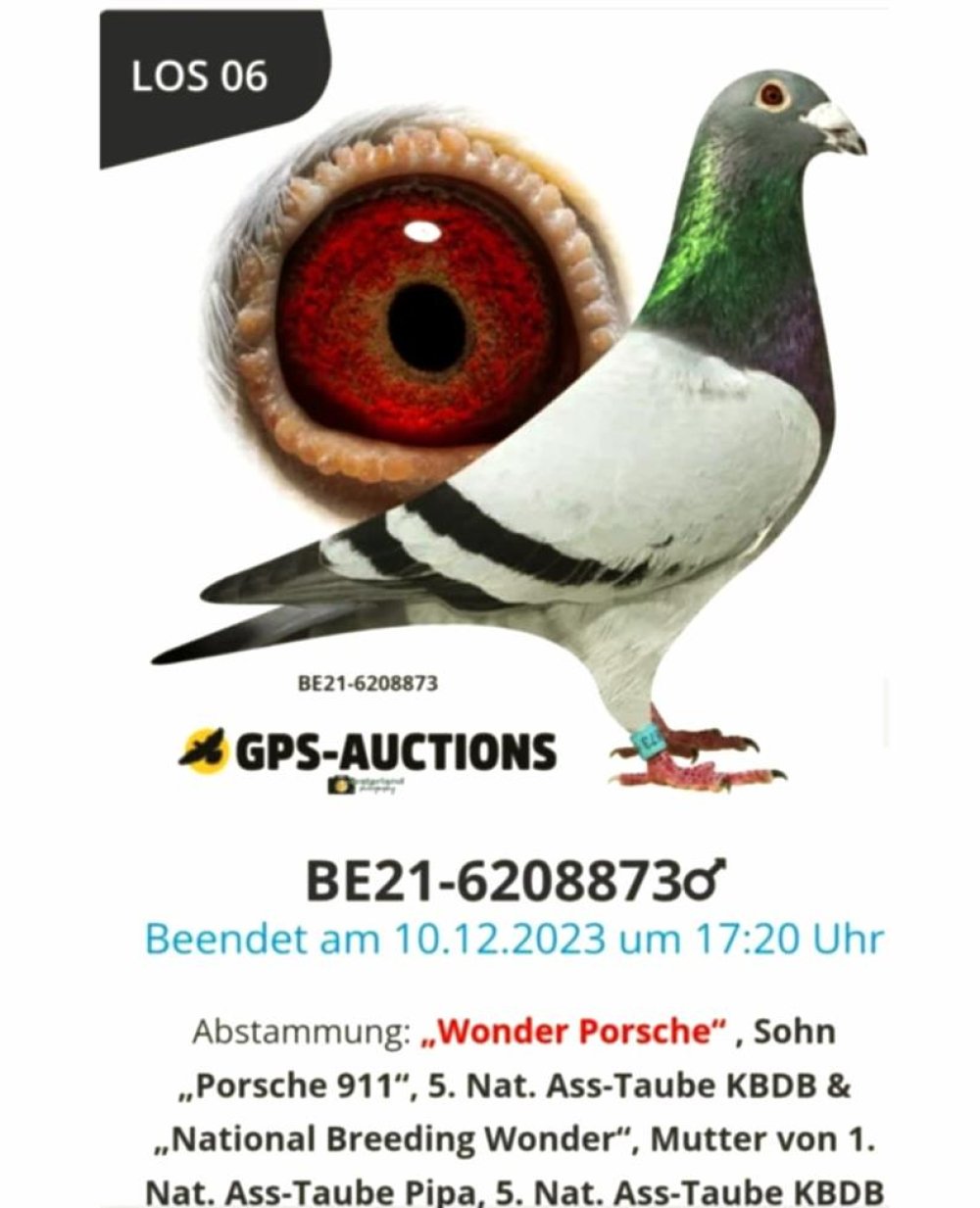 DARCZYŃCA: JOACHIM JUNGMAN