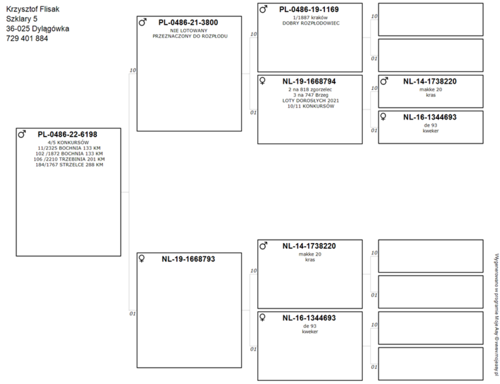 | MŁODY LOTOWANY SAMIEC - 4/5KONK. | M.IN.: 11, 102, 106, 184.. |