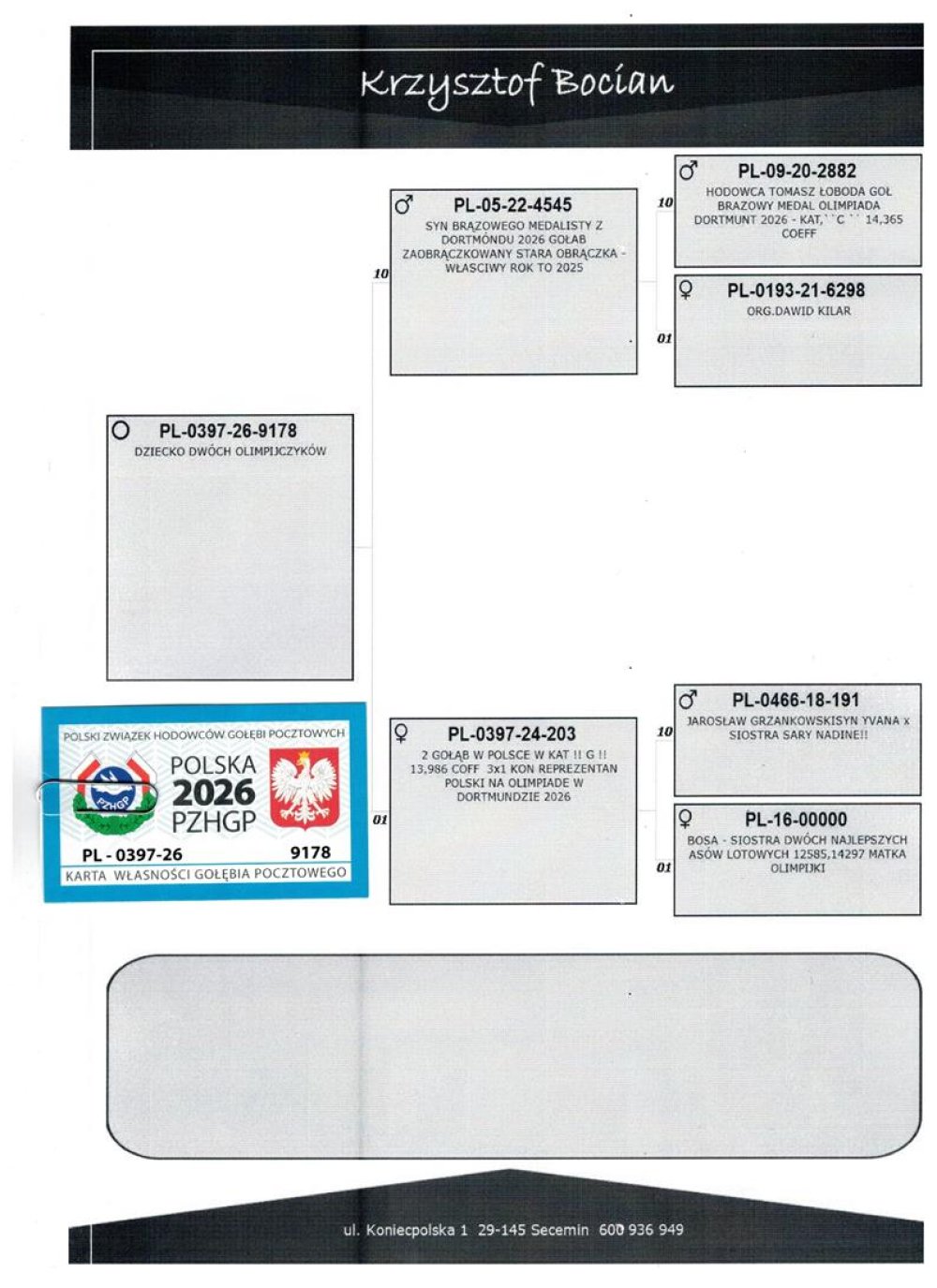 DOUBLE OLIMPIC `26