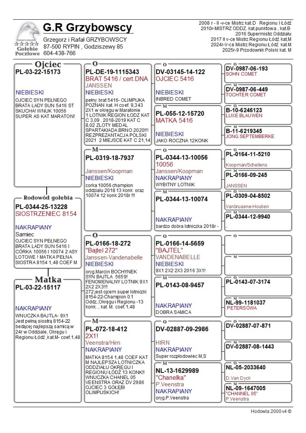 LINIA 8154 X LADY SUN