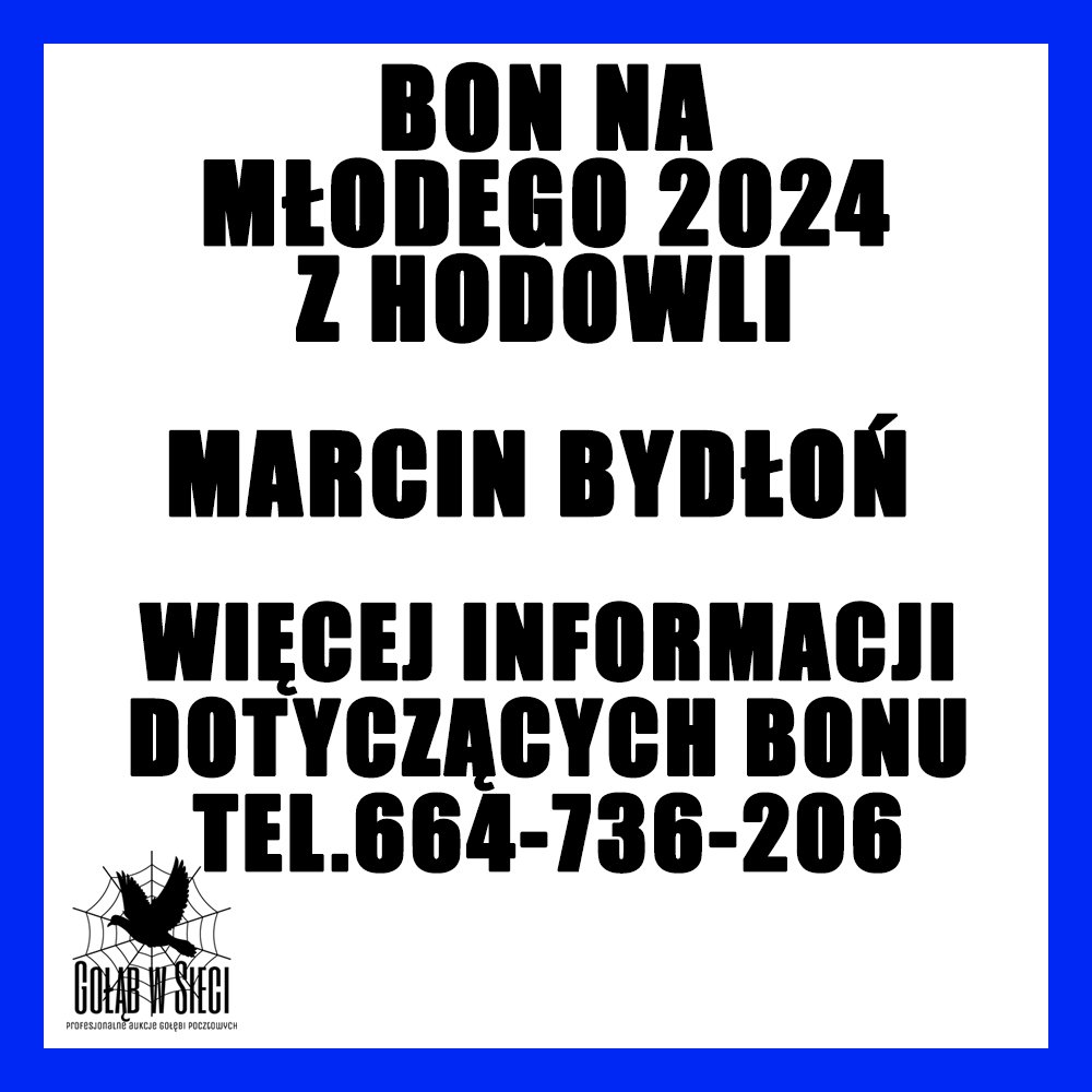 MARCIN BYDŁOŃ - 0449 JORDANÓW / BON NR 1 NA MŁODEGO Z ROCZNIKA 2024