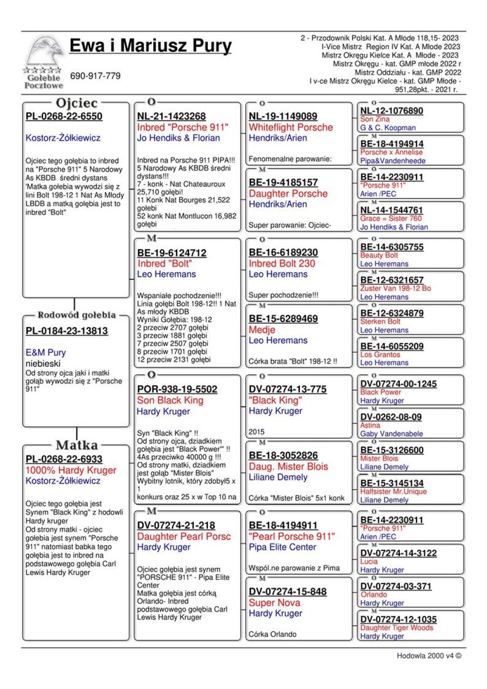 | DZIECKO SAMICY ROZPŁODOWEJ "6933" - 100% HARDY KRUGER - JEST ONA WNUCZKĄ "BLACK KING" / "PEARL PORSCHE 911" | WNUK ROZPŁODOWCA "268" JO HENDIKS & FLORIAN - INBRED "PORSCHE 911" | WNUK SAMICY ROZPŁODOWEJ "712" LEO HEREMANS - INBRED "BOLT" ! |