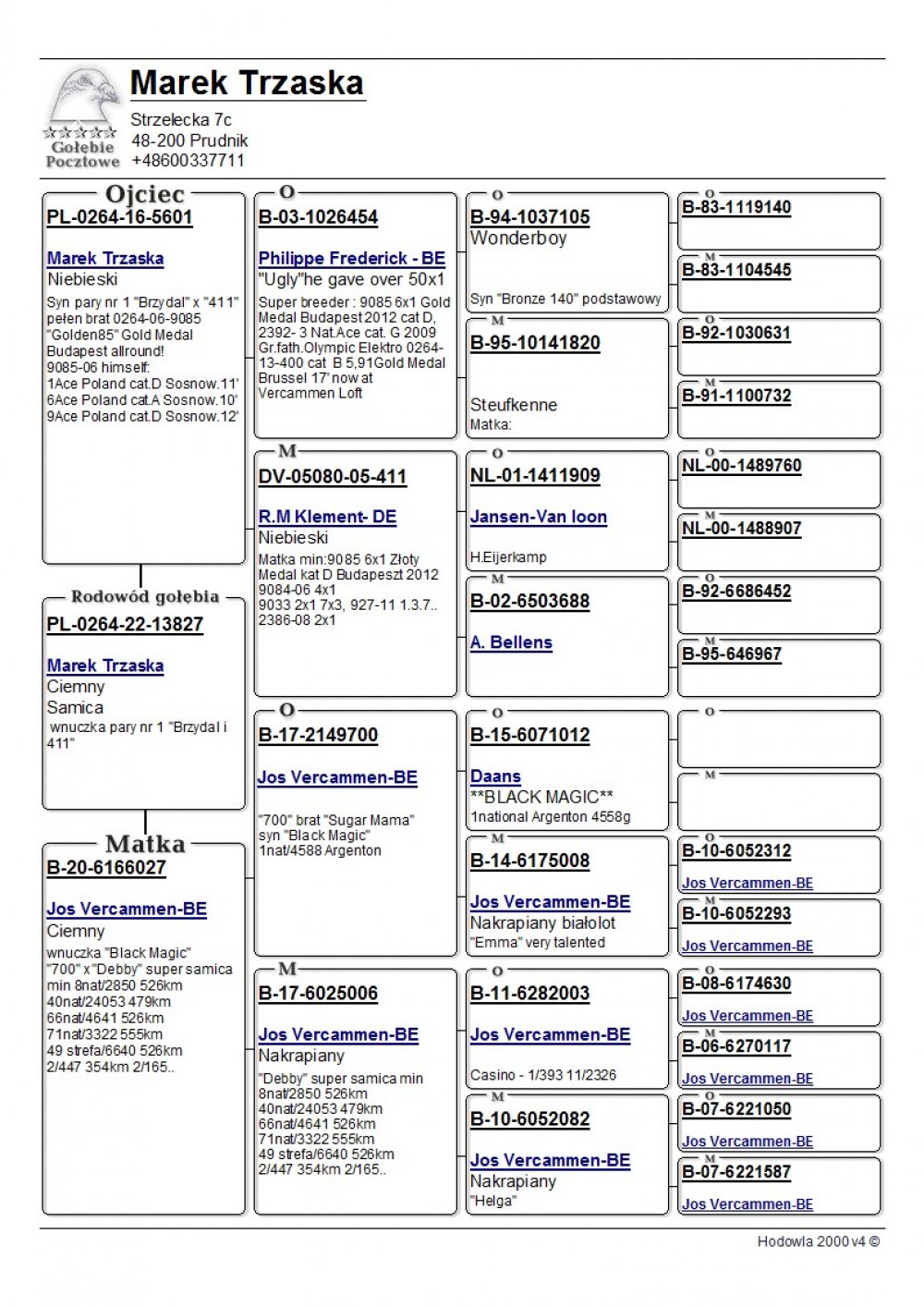 | WNUCZKA PARY NR 1 W HODOWLI!! "BRZYDAL" X "411" |