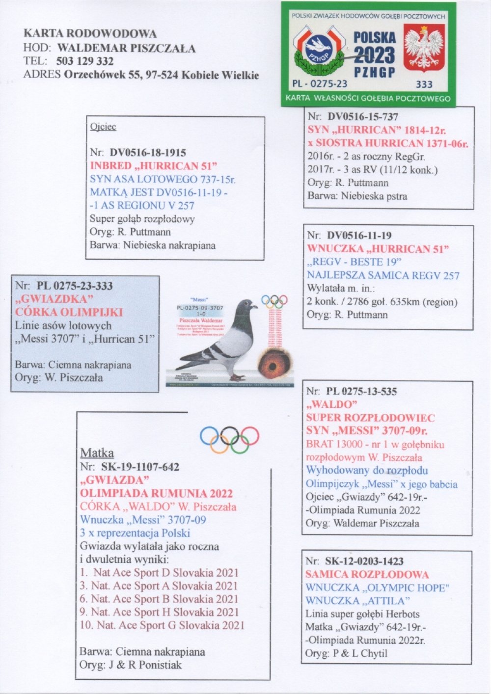 | WALDEMAR PISZCZAŁA - "GWIAZDKA 333" | CÓRKA OLIMPIJKI "GWIAZDA 642" - 1 AS SŁOWACJI - KAT. D 2021 / 3AS SŁOWACJI KAT. A 2021 / 6AS SŁOWACJI KAT. B 2021 ! / 9AS SŁOWACJI KAT. H 2021! / "642" - JEST WNUCZKĄ OLIMPIJCZYKA "MESSI 3707" - 3X REPREZENTANT POLSKI! | WNUCZKA KAPITALNEGO ROZPŁODOWCA "WALDO 535" - PEŁNY BRAT ASA ROZPŁODU "13000" ! | CÓRKA BARDZO DOBREGO ROZPŁODOWCA "1915" - INBRED "HURRICAN 51" |