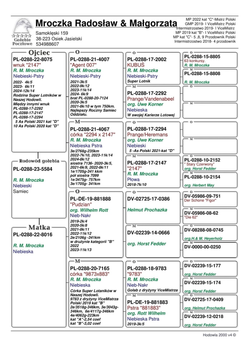 DARCZYŃCA: RADOSŁAW & MAŁGORZATA MROCZKA - NR 1