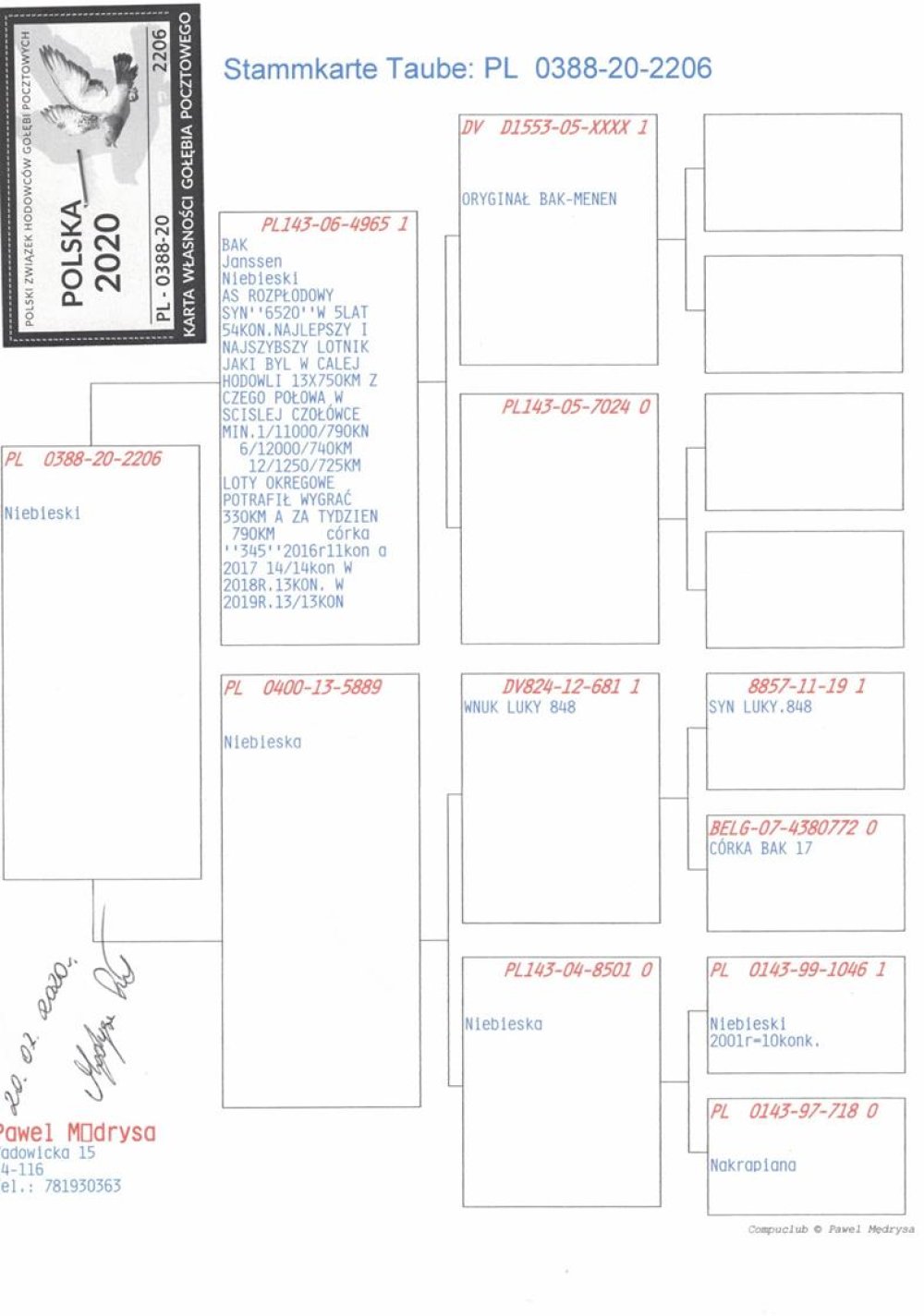 ORG. PAWEŁ MĘDRYSA (2)