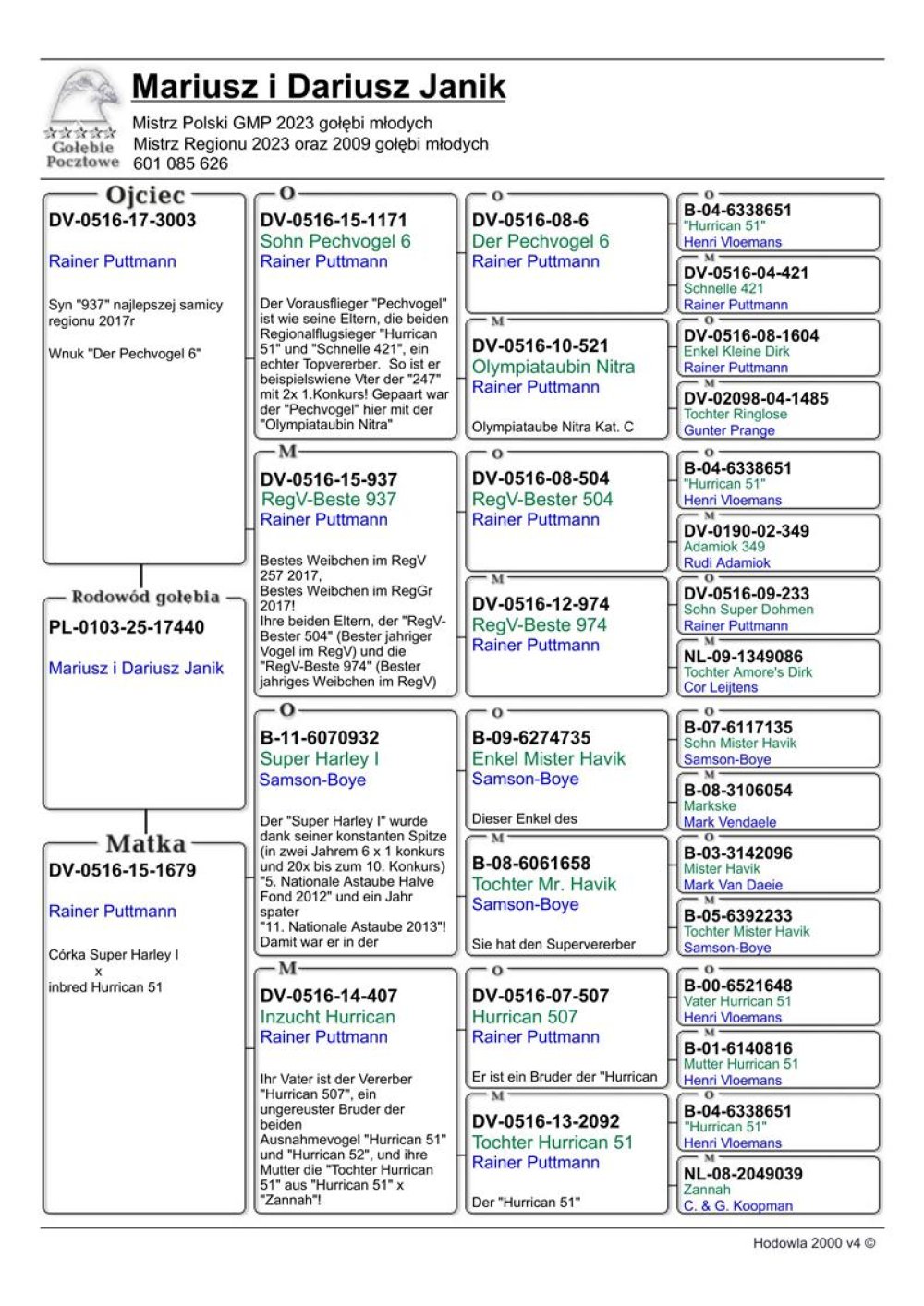 WNUCZKA SUPER HARLEY