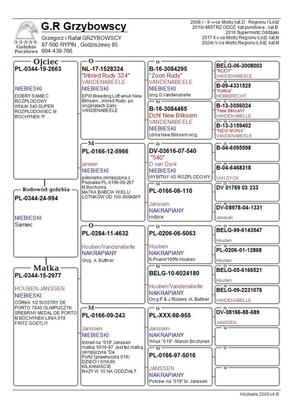 | WNUK SUPER SAMICY ROZPŁODOWEJ "09-243" ORG. MARCIN BOCHYNEK - INBRED "019" JANSSEN (PÓŁSIOSTRA OLIMPIJCZYKA "DE PORTO) - JEJ DZIECI I WNUKI WIELE CZOŁOWYCH KONKURSÓW W TOP 10 ODDZIAŁU! | SYN SAMCA ROZPŁODOWEGO "2663" (M. BOCHYNEK X VANDENABEELE) | WNUK SUPER SAMICY ROZPŁODOWEJ "5966" ORG. MARCIN BOCHYNEK - PÓŁSIOSTRA OLIMPIJCZYKA "267" !! |